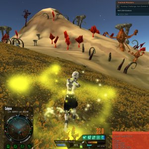 49 early bird something shopkeeper pad 1300 MU.jpg