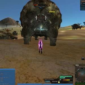 37 The beggining of  beautifull friendship.jpg