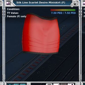 looted.JPG