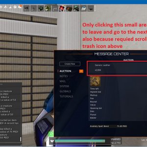 auction 3.jpg