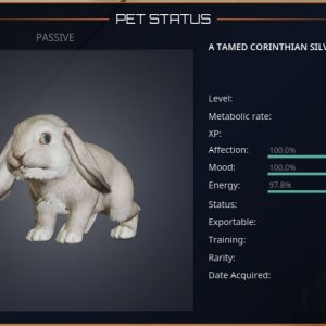 rabbit1.jpg