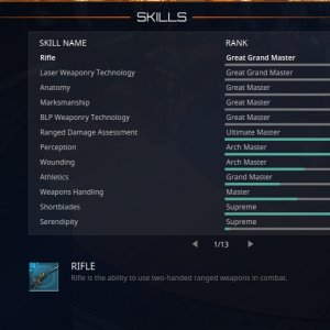 skills 2.jpg