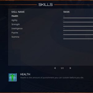 skills 3.jpg