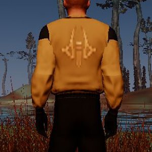 WOF 2012 Yellow.JPG