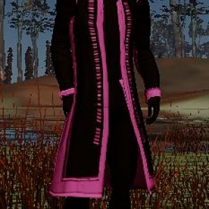 Cowboy Boots with coat.JPG