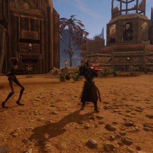 Soloman nice looking.jpg