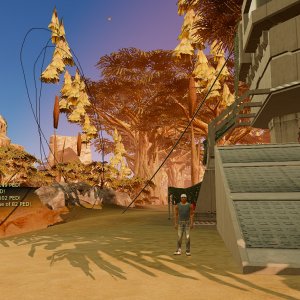 newicarus-1.jpg