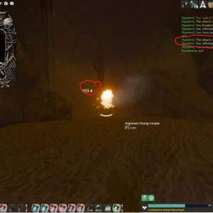 Argo Cave Bug Pic2