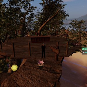 Tree House 1.jpg