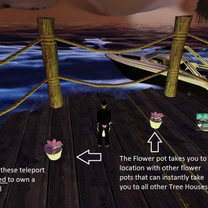 Tree House Lobby.jpg