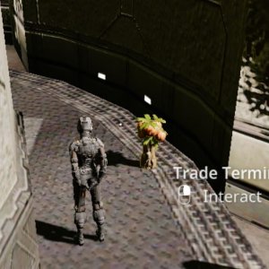 fruit in trade center.JPG