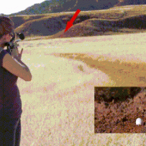 Taking aim.gif