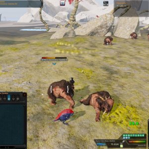 8 - 2k daiki - tracking mod nano ticks.jpg