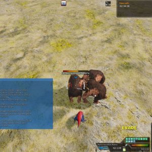 7 tracking loot.jpg