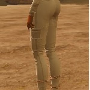 Work Pants.jpg
