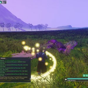 Hendrix Dragon 001.jpg