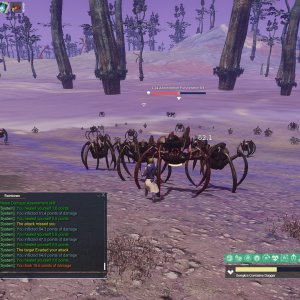 Entropia 2026-04-05 20.25.40.jpg