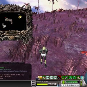 0223_Estophyl old_day 13