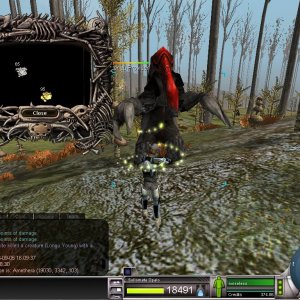 95 PED Longu Young with dates