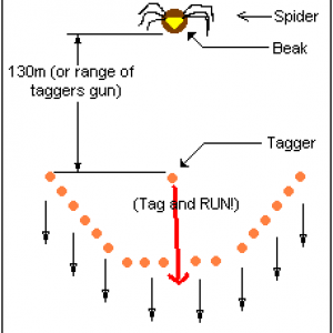 Spider hunt img