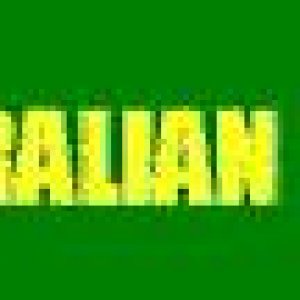 Bushrangers Logo