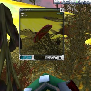 fungoid hat