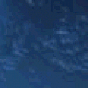 eustillani1