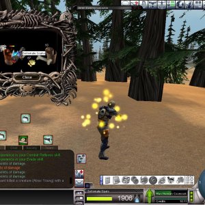 Atrax young 10.03.06