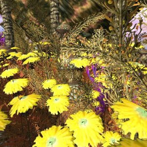 Flowers...
