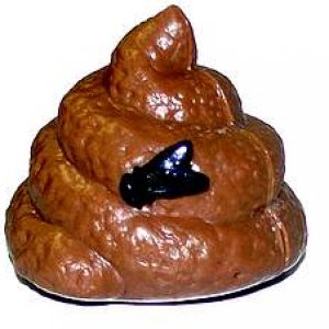 Fake Poop