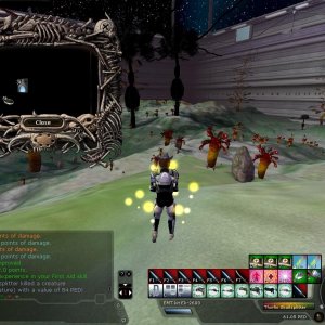 Cornanterion global 1