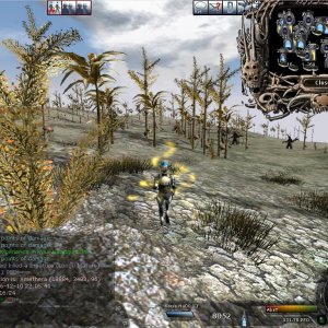 hunting.10.12.06.2