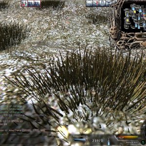 hunting.13.12.06.1