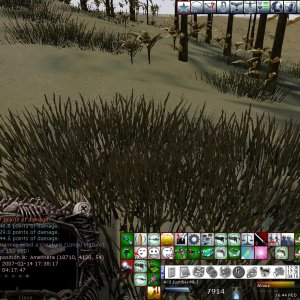 Longu global