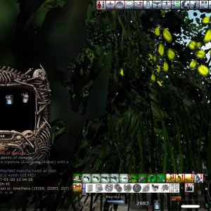 League entry 2