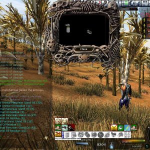 SCREENSHOT_20070211213154843
