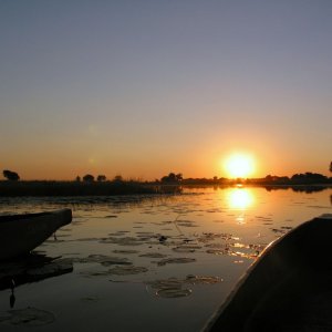 okavango