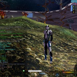 Entropia2007-03-0322-11-17-57