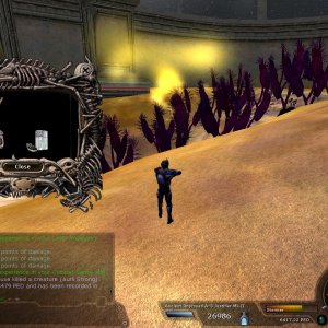 Aurli 15479