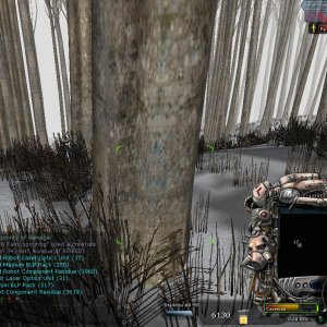 Cave & Fairy WoF training bots1