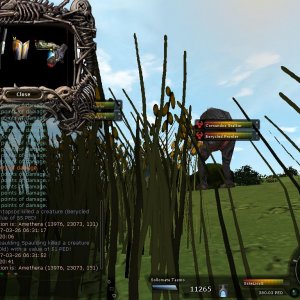 26-3-07berystalker55ped