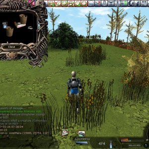 26-3-07cornundosstalker54ped