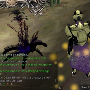 SoloAurli