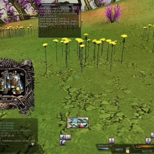 80 ambu yng 4-10