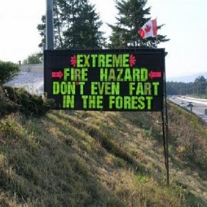 Forest Sign