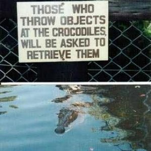 Crocodile Sign