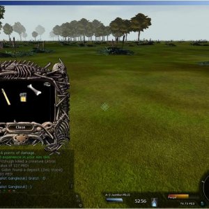 127 Ped Atrox Young