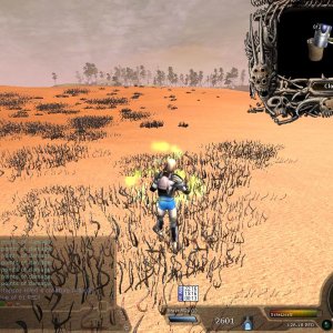 SCREENSHOT_20070426221623500