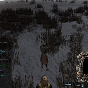 WoF Eudoria ~ Thorifoid Shaman 52 ped