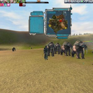 Pets in the toxic zone